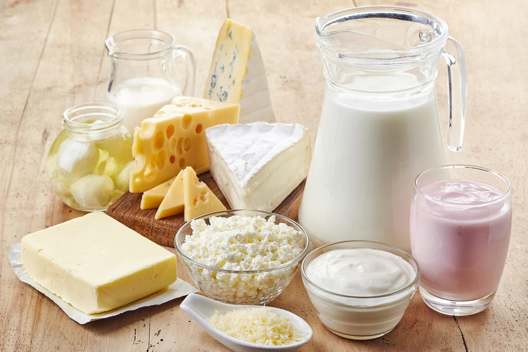 dairy products
